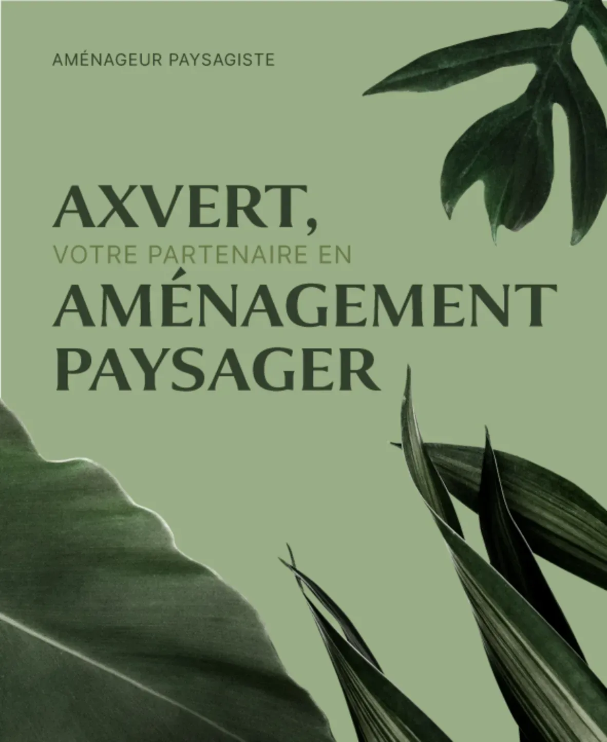 Axvert, image 1 of 7
