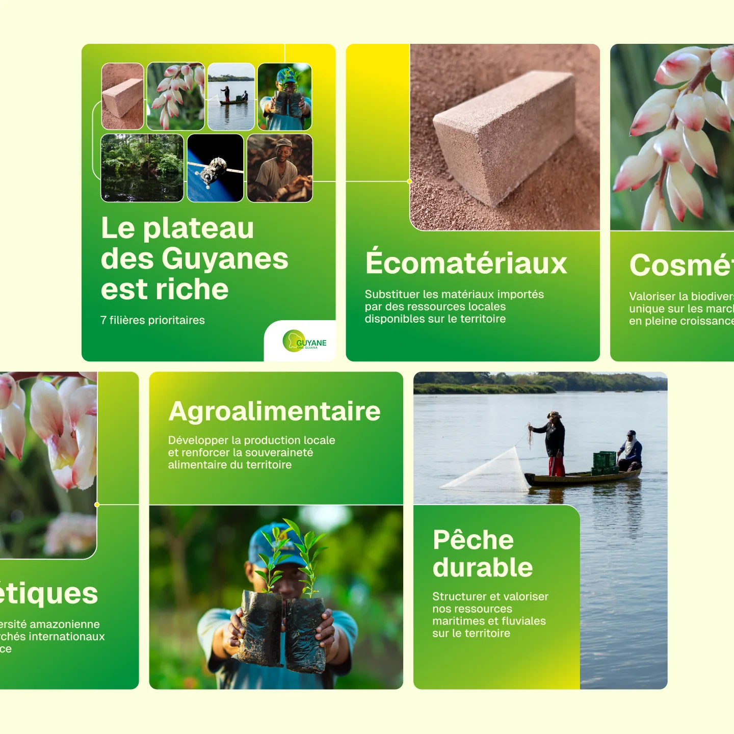 Carrousel One Guiana pour les réseaux sociaux : « Le plateau des Guyanes est riche », écomatériaux, cosmétiques, agroalimentaire et pêche durable