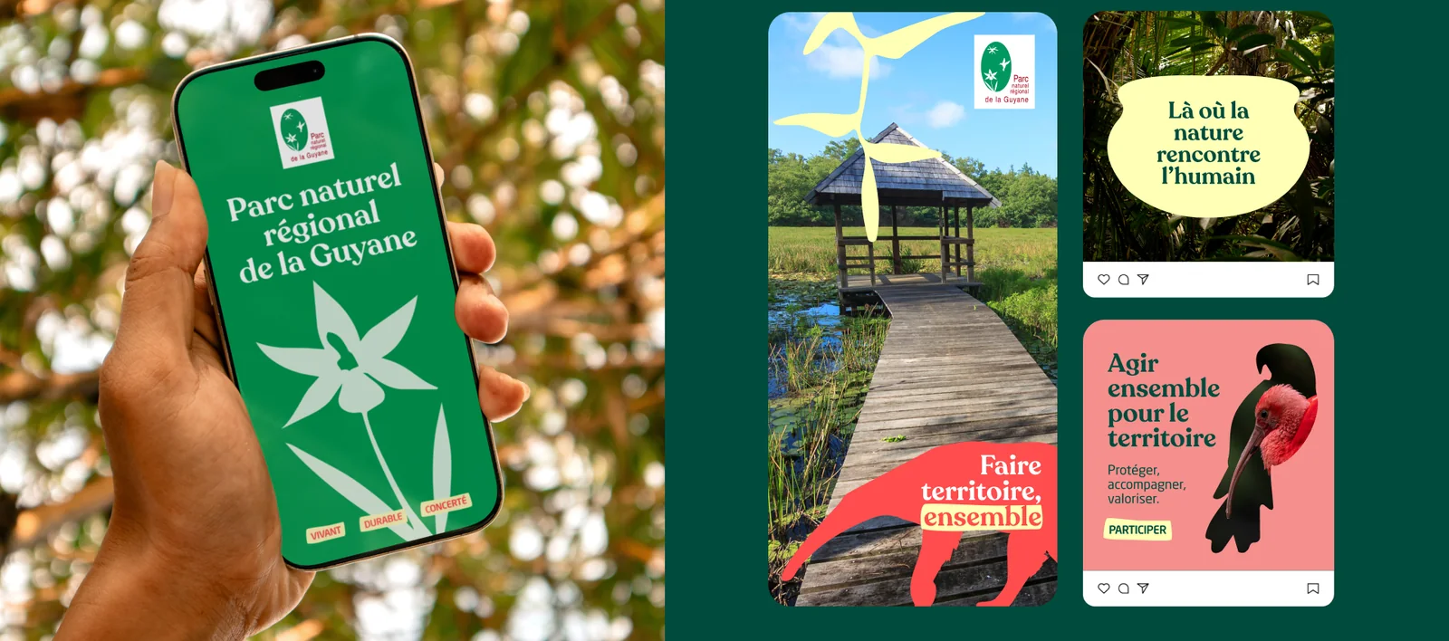 Un écran de téléphone et trois publications pour les réseaux sociaux aux couleurs du Parc (mise en situation)