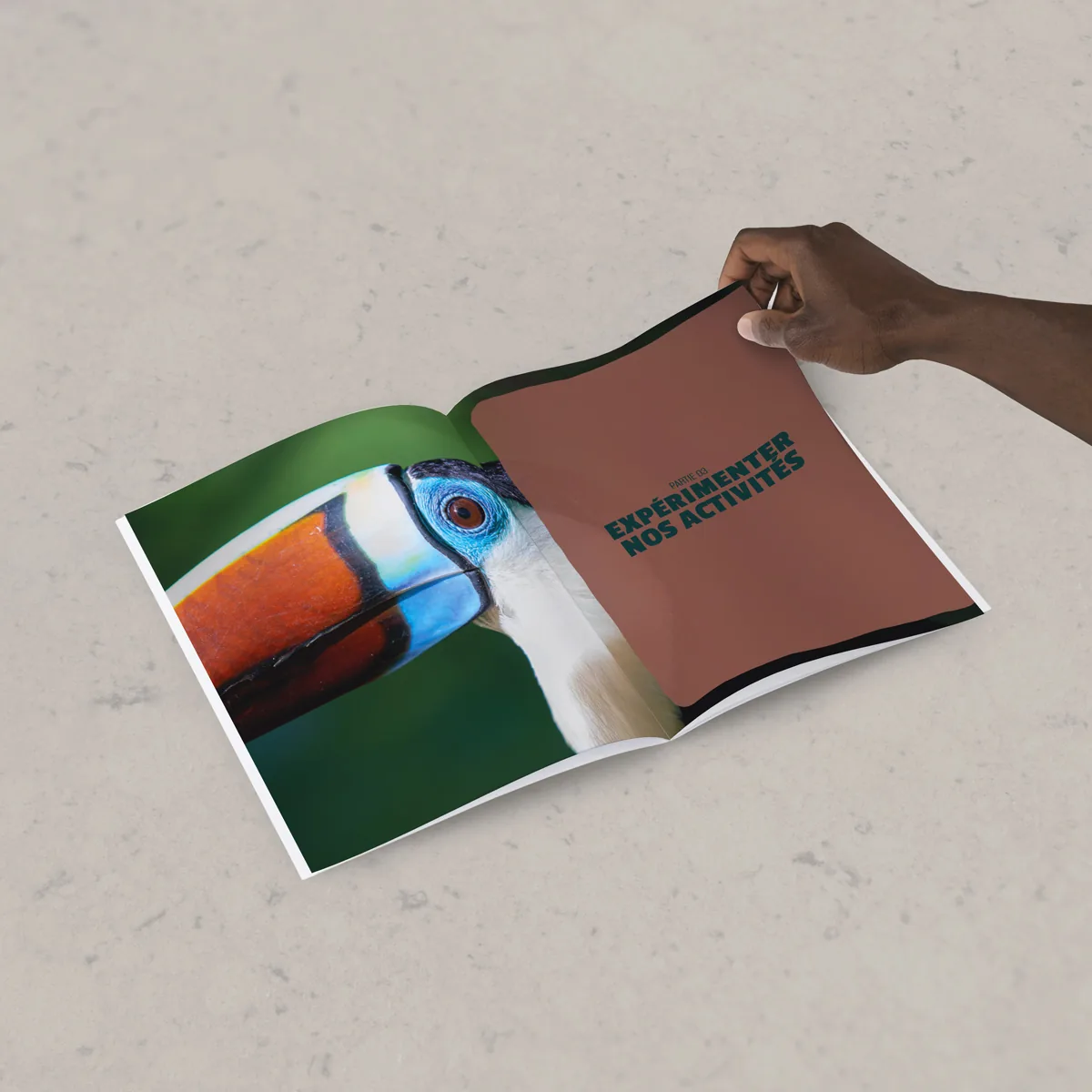 Ouverture de la partie « Expérimenter nos activités » du guide, un toucan en pleine page