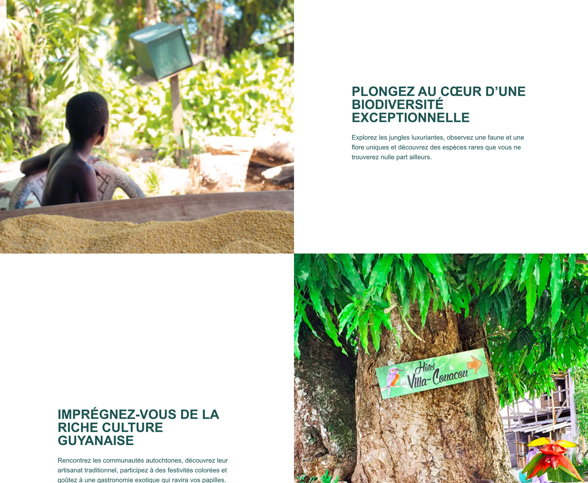 Points forts de l’Ouest guyanais sur la page de téléchargement : la biodiversité et la culture guyanaise