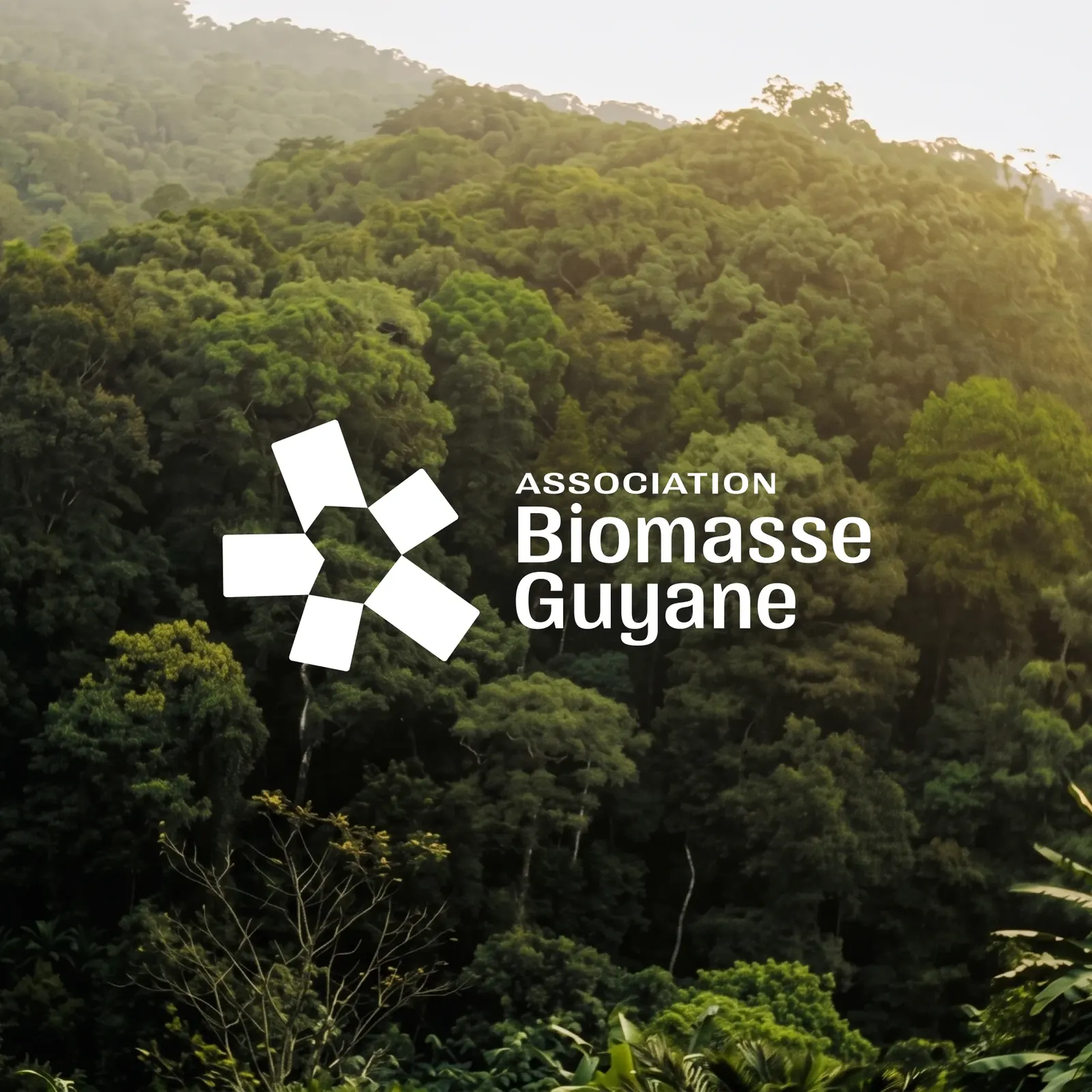 Biomasse, visuel 1 sur 11
