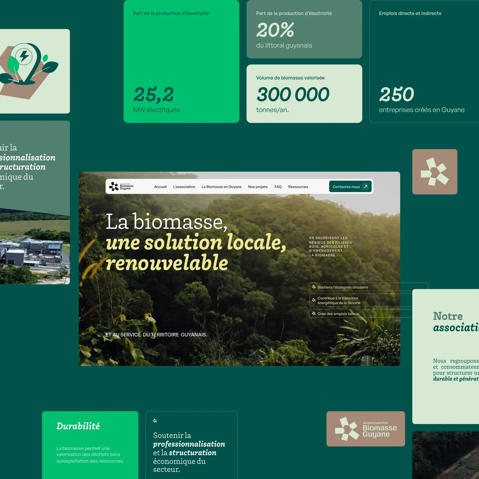 Biomasse, visuel 2 sur 11