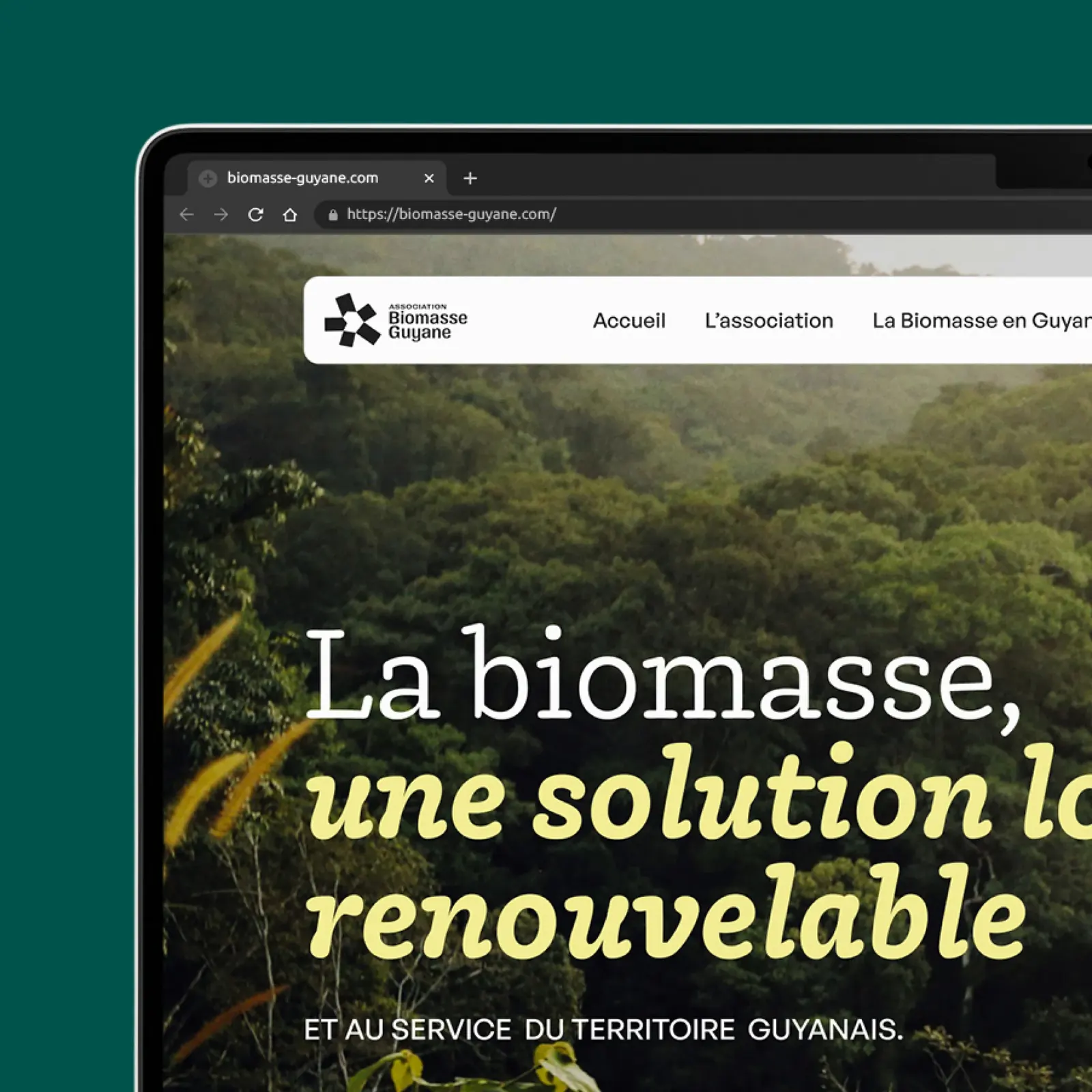 Biomasse, visuel 3 sur 11