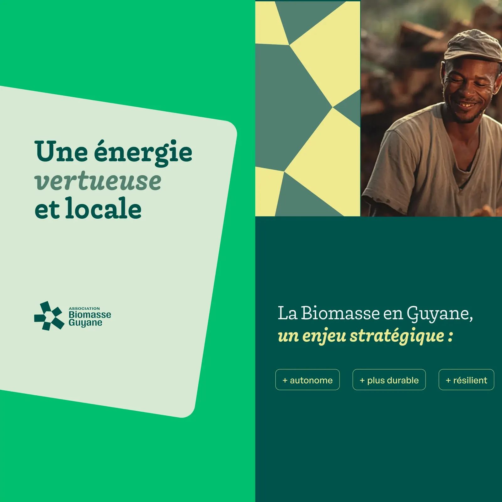 Biomasse, visuel 4 sur 11