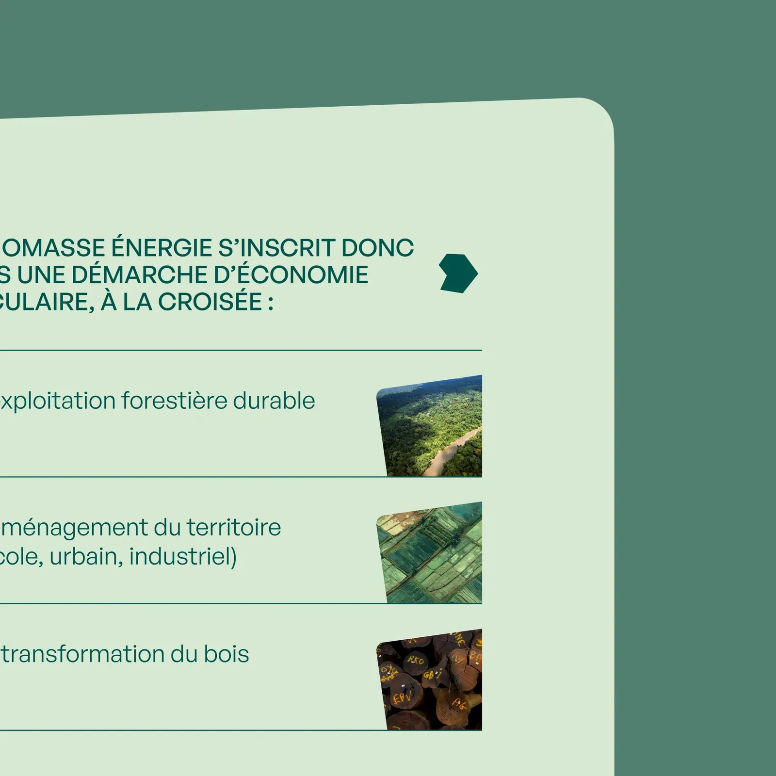 Biomasse, visuel 9 sur 11