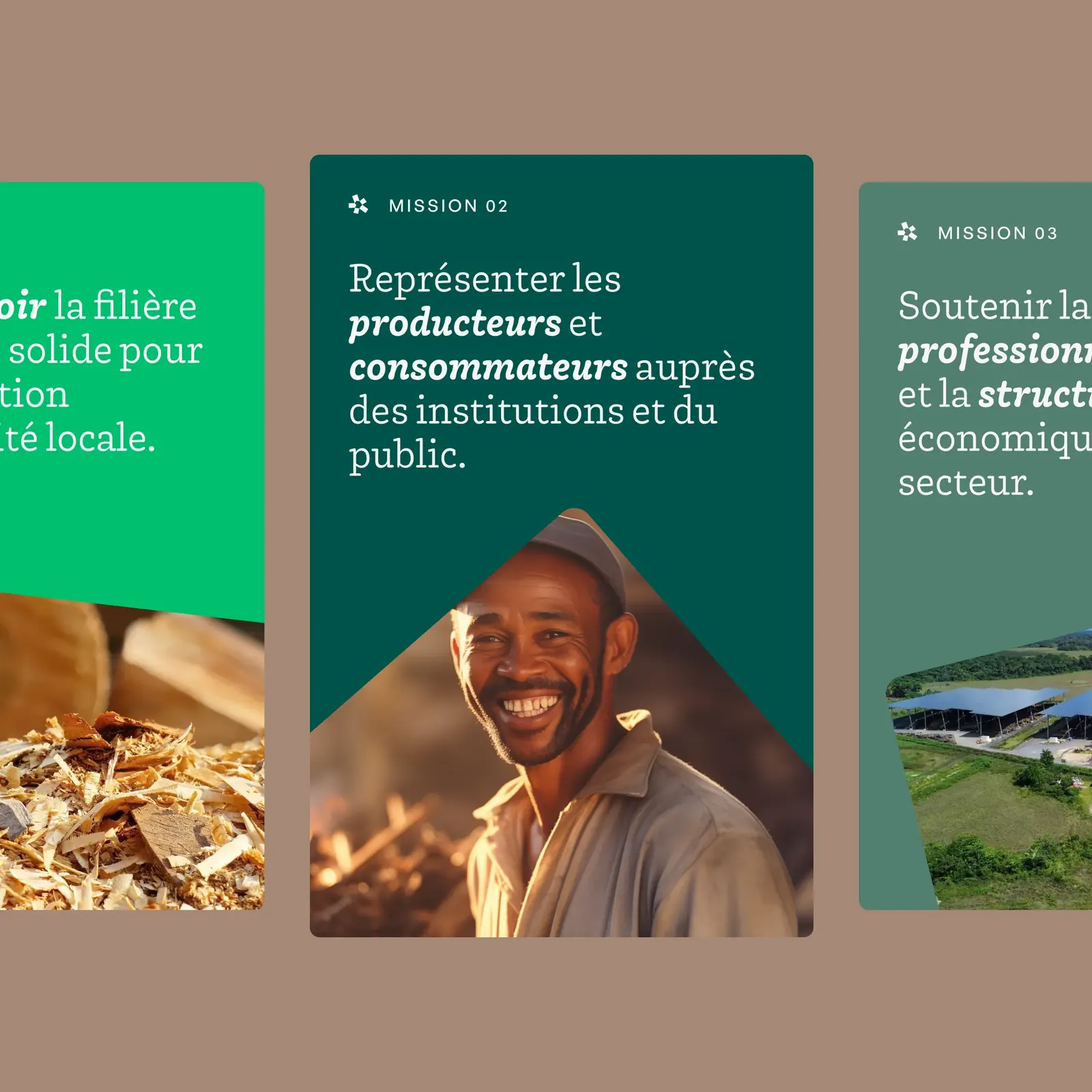 Biomasse, visuel 10 sur 11