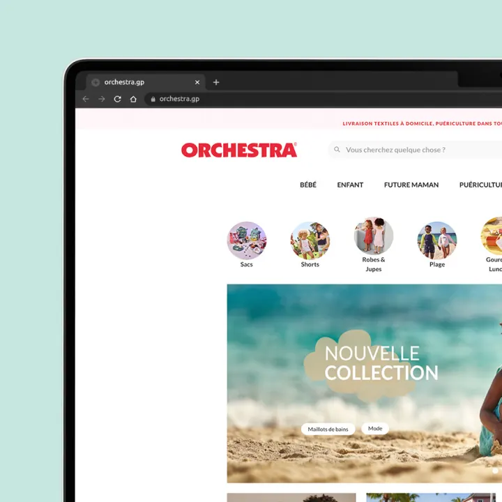 Orchestra Guadeloupe, visuel 3 sur 8