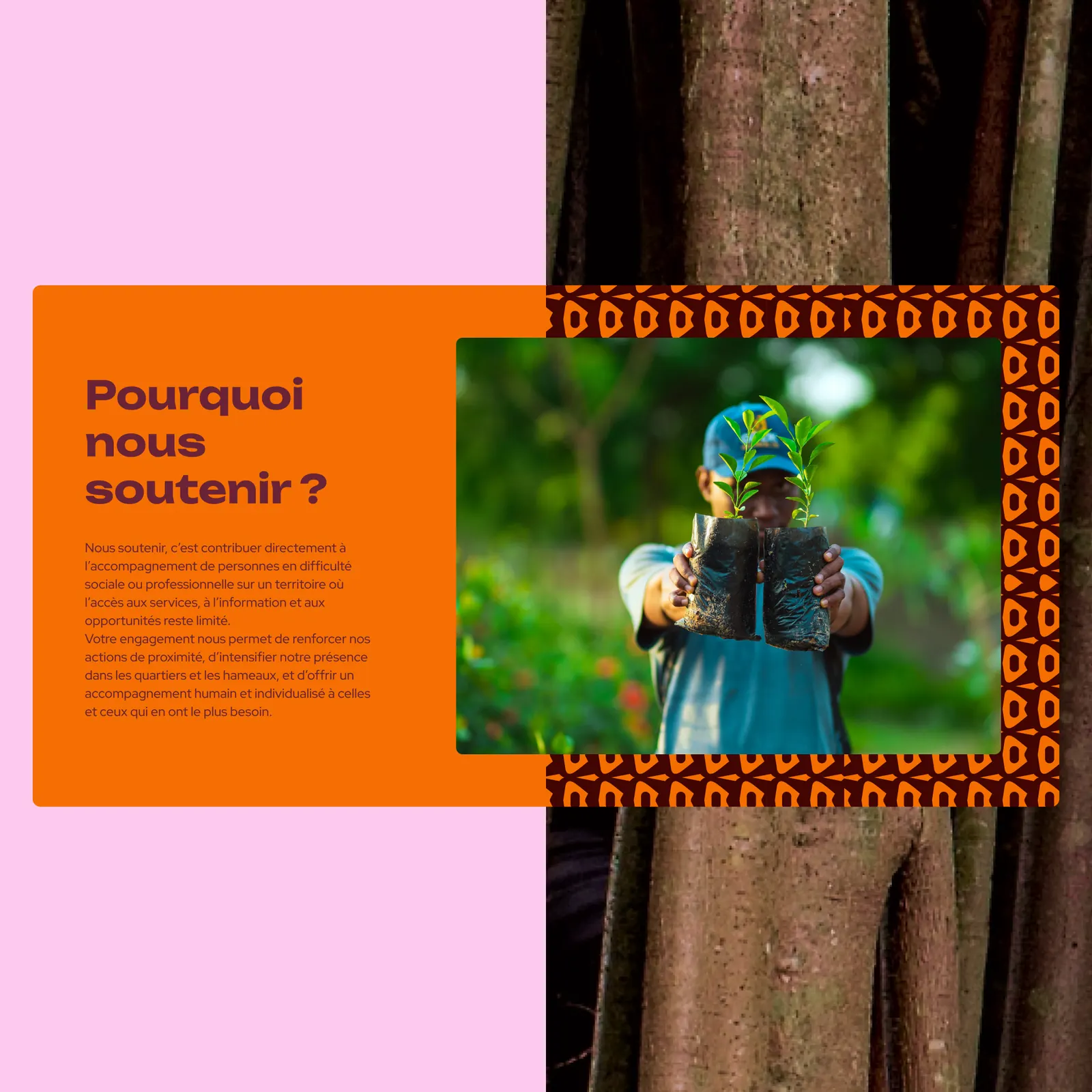 Racines d’Iracoubo, visuel 9 sur 10