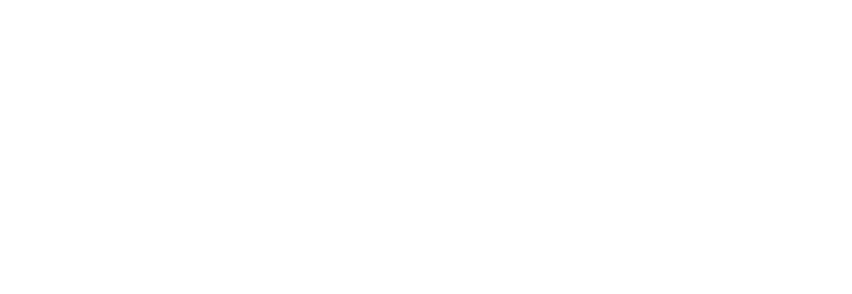IRTS Plateau des Guyanes