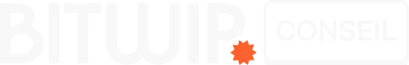 Bitwip Conseil